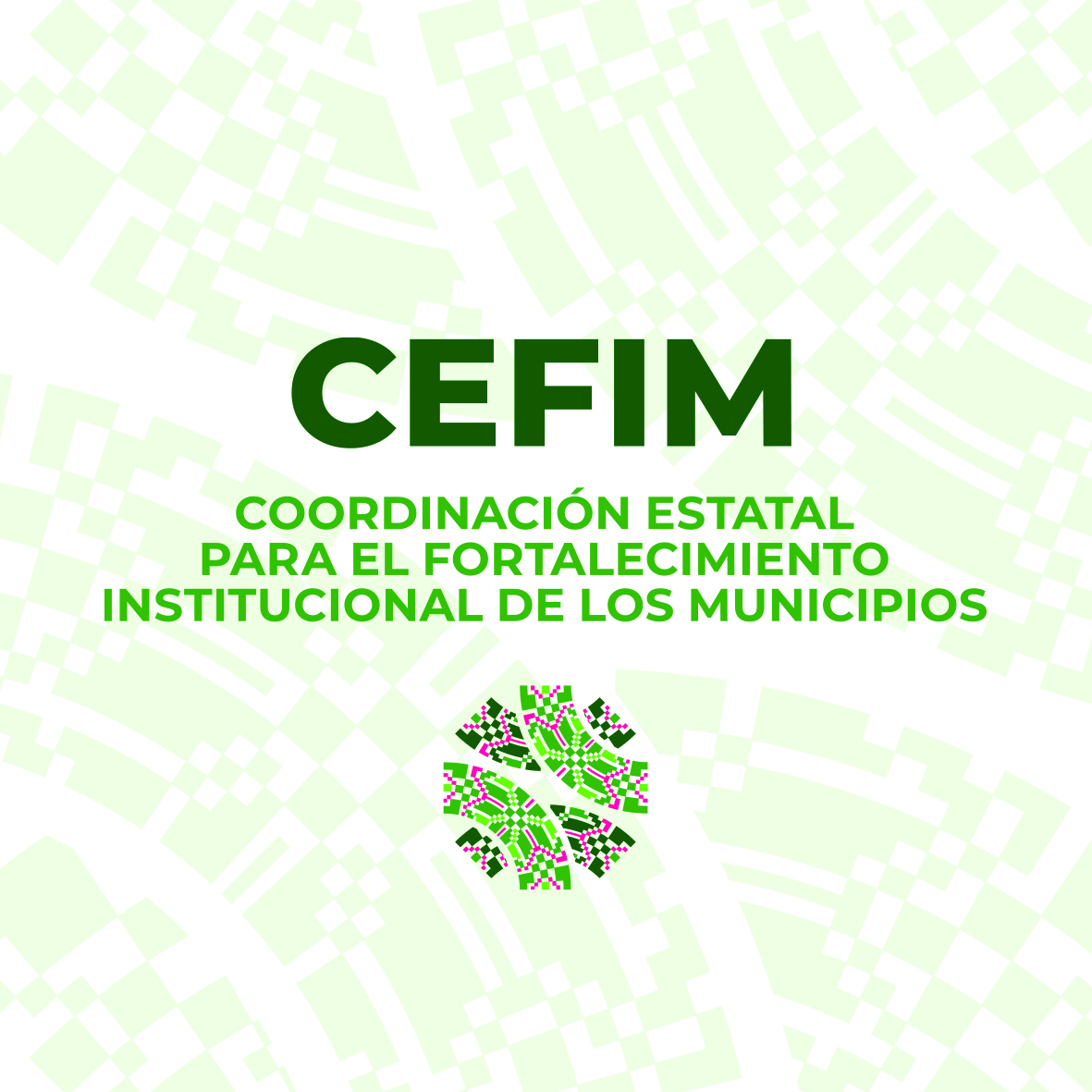 coordinacion-estatal-para-el-fortalecimiento-institucional-de-los-municipios