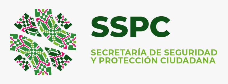 secretaria-de-seguridad-publica